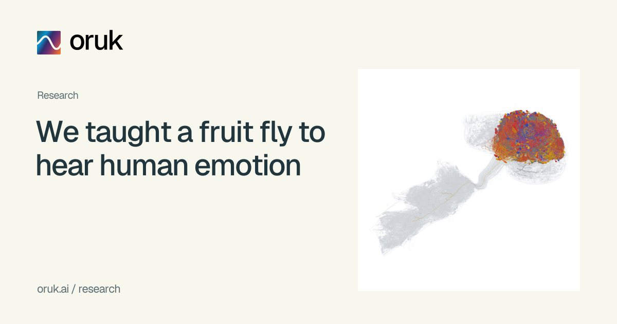 We taught a fruit fly to hear human emotion