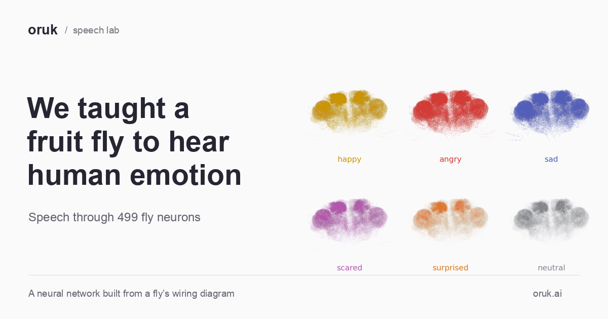 We taught a fruit fly to hear human emotion (9 minute read)